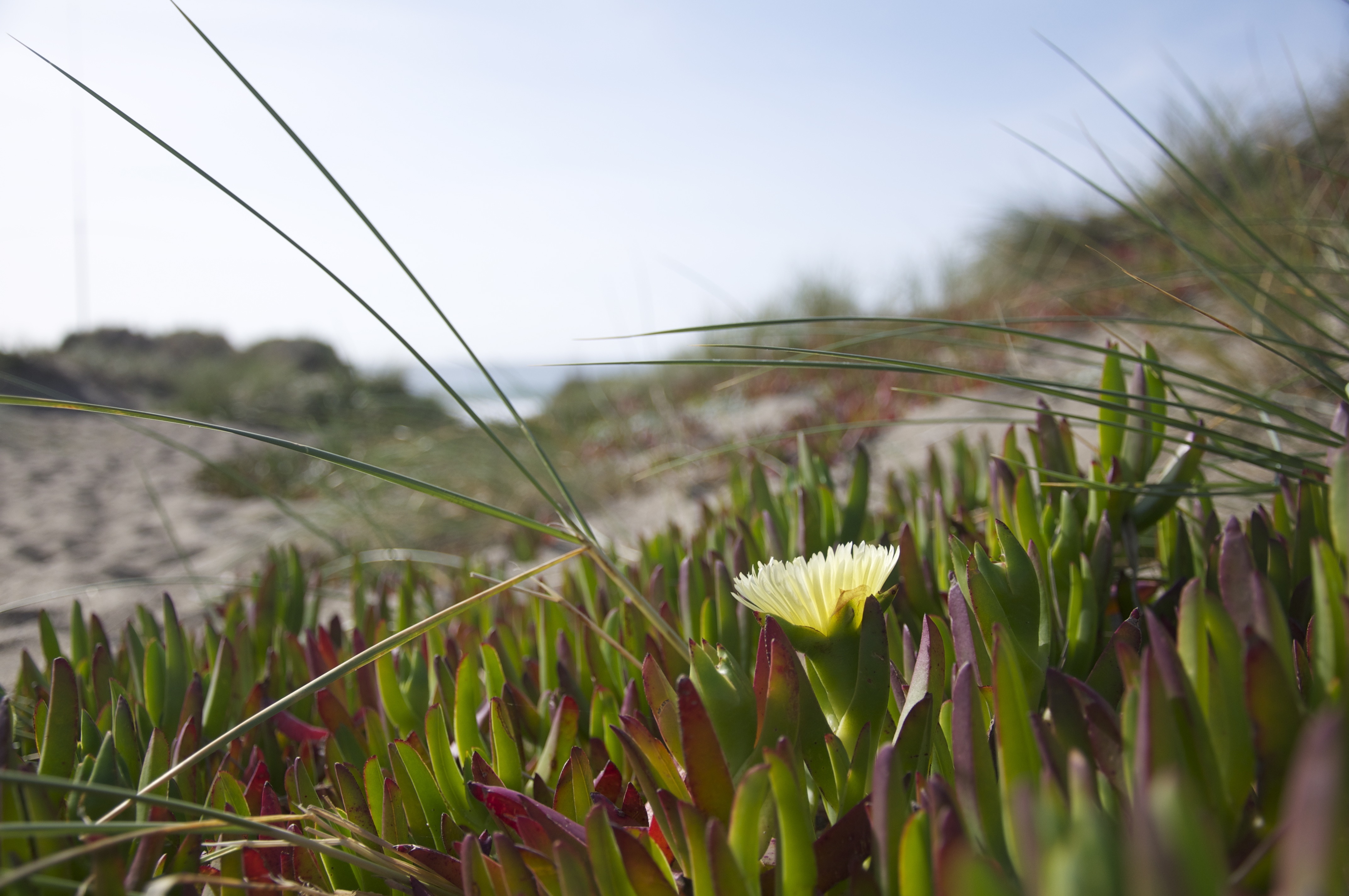 Tutor R. available for online tutoring